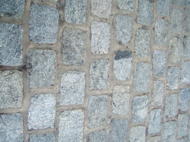 web069.jpg